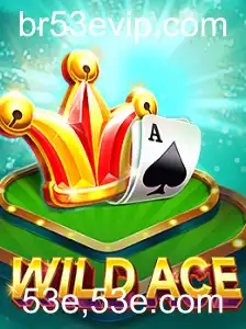 Explorando o Mundo de WildAce: Tudo o que Você Precisa Saber